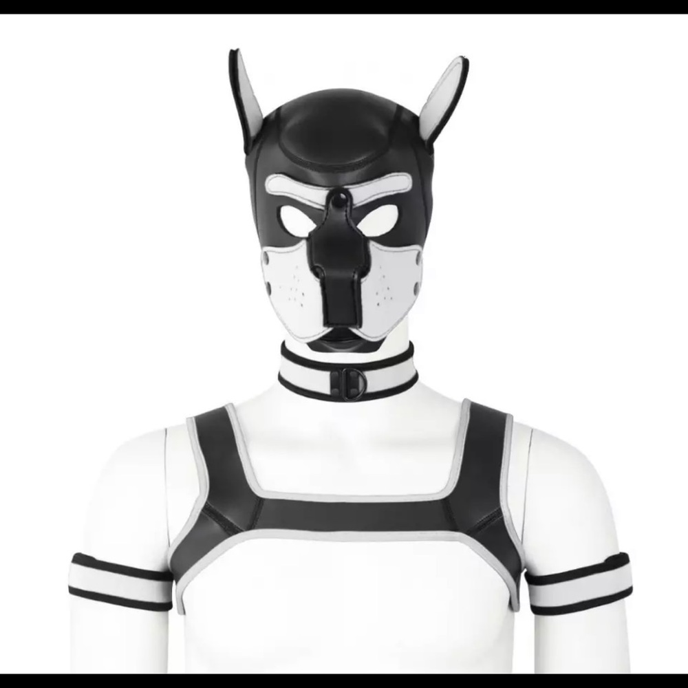 Dog Mask Soft Pup Cosplay Role Play - Picture 4 of 11